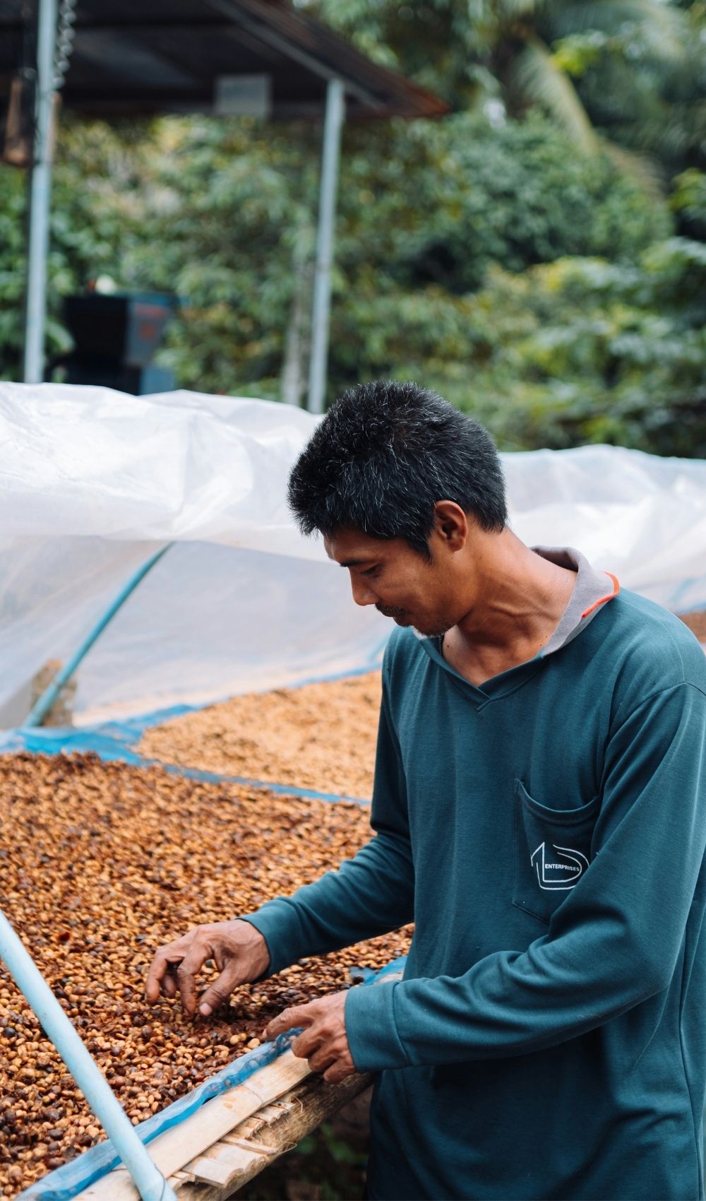 Whole bean coffee freshly roasted in Oklahoma City